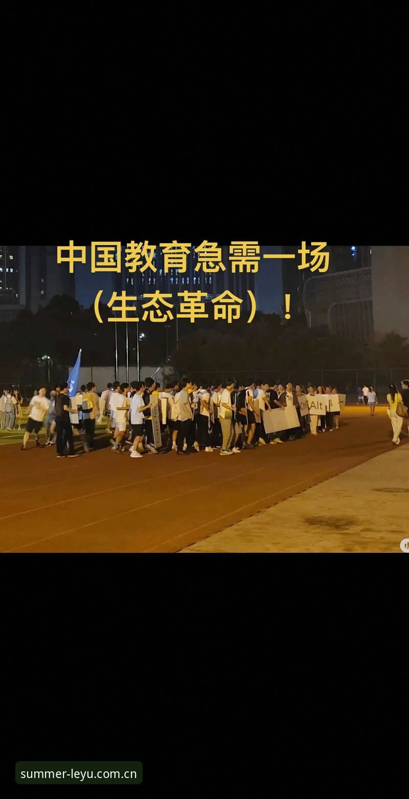 乐鱼夏季赛 乐鱼体育平台夏季赛深度评测:一场从“能用”到“好用”的跃迁